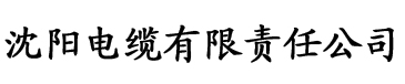 大香蕉视频精品在线电缆厂logo